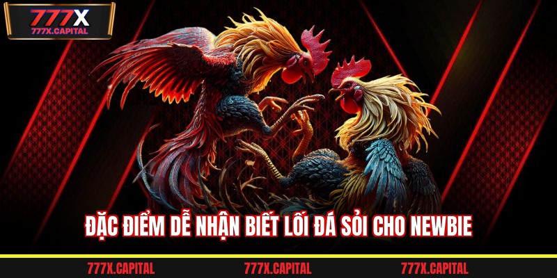 Đặc điểm dễ nhận biết lối đá sỏi cho newbie