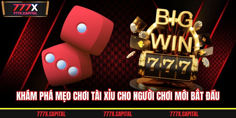 Khám phá mẹo chơi tài xỉu cho người chơi mới bắt đầu