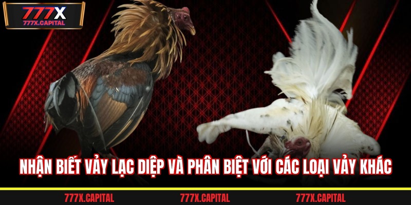 Nhận biết vảy lạc diệp và phân biệt với các loại vảy khác